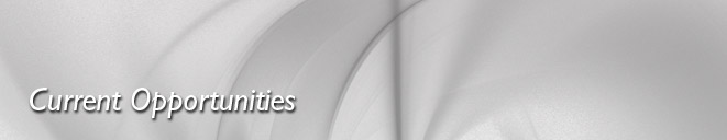 hsk_title_currentopps